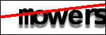 متن برای شناسایی